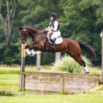 TWOP1141-(ZF-3523-97531-1-001)