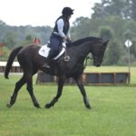 c87e90de-2280-4dbc-aa18-f330377a78ea