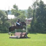 e286dd0b-a1ae-4c9d-997b-5323da55ce67